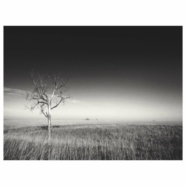 Emporia - Framed