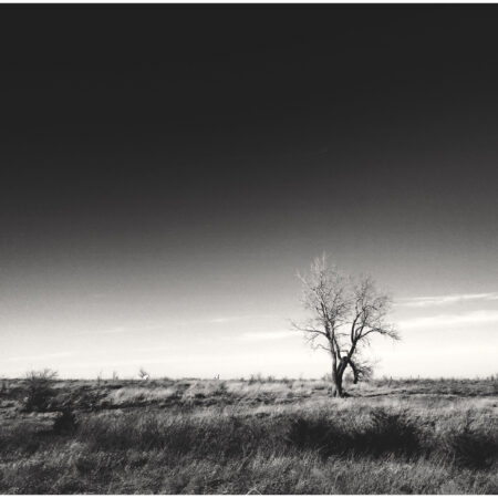 Contrast in the Midwest Pt 3 Print Set