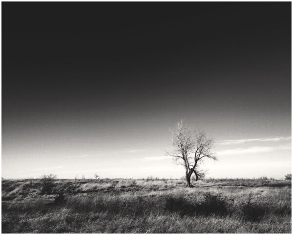 Contrast in the Midwest Pt 3 Print Set