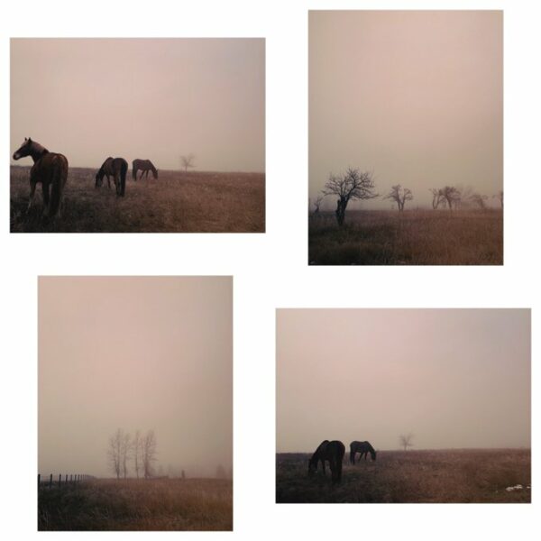 Cold Walks - Framed Set