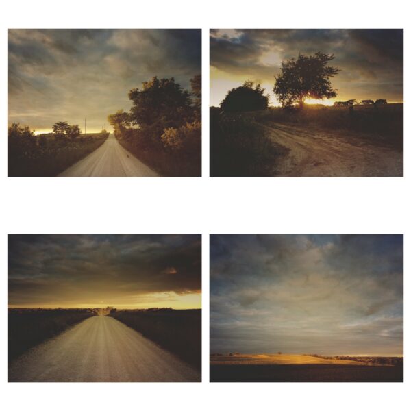 Wee Rabbit Sundown Print Set