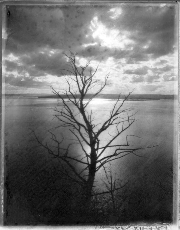 Yellowstone - Type 665 - Framed