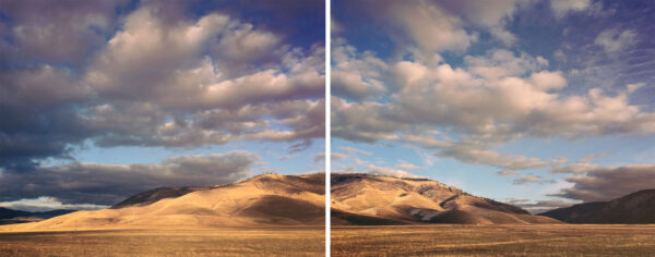 Niarada Diptych - Framed