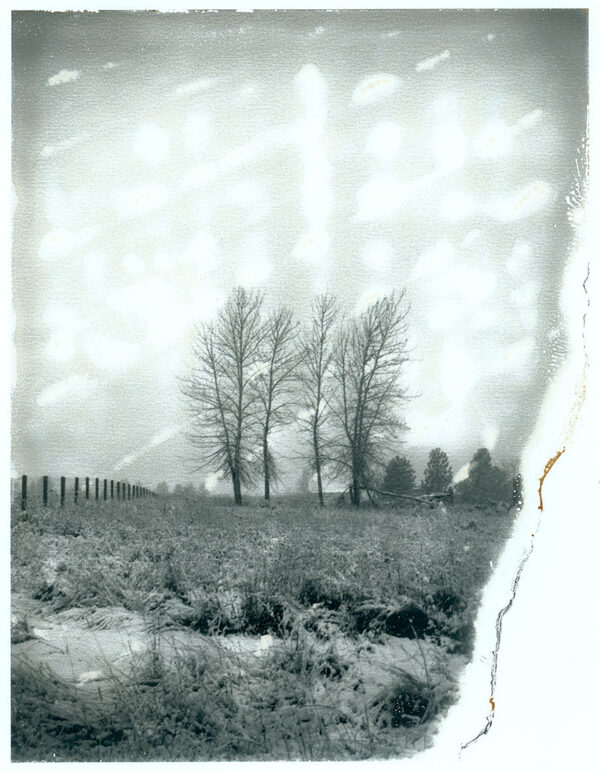 Aged - 90 - Original Polaroid
