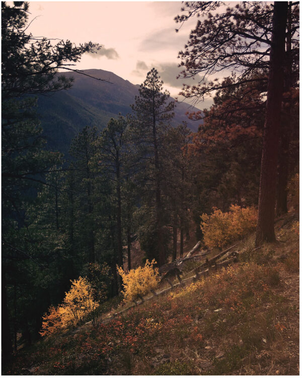 Fall in the Bitterroots