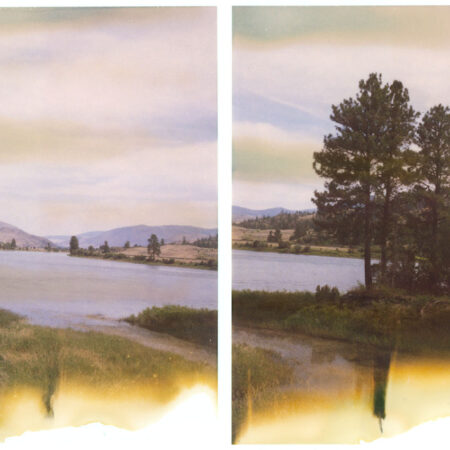 Noxon Diptych - Original Polaroids