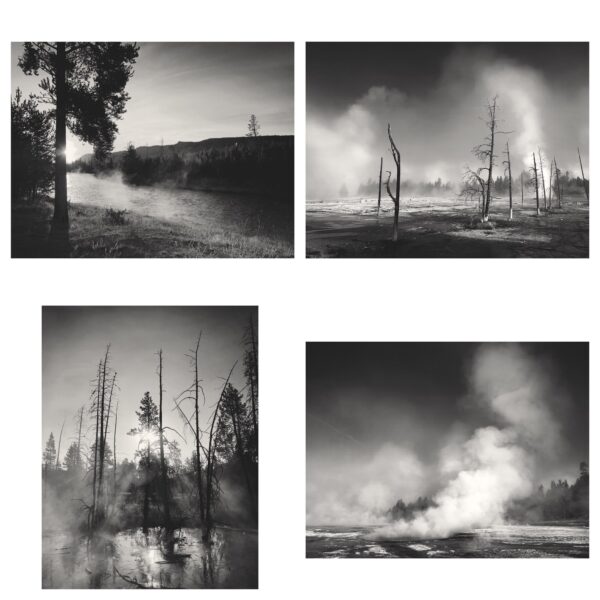 Yellowstone Print Set