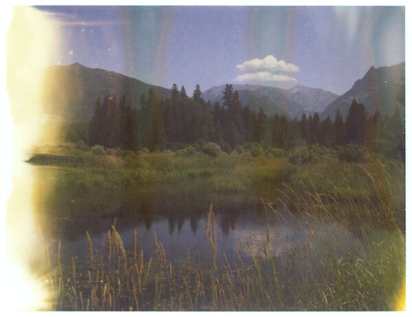 Noxon - Original Polaroid