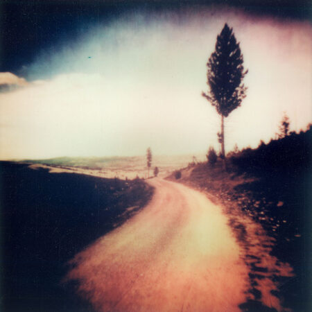 Conner - Original Polaroid