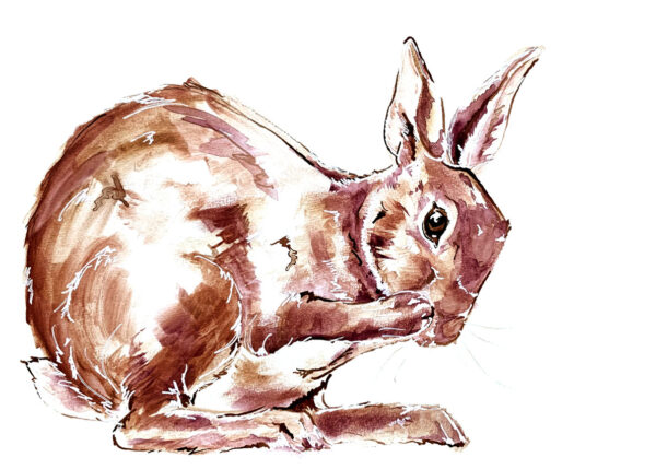 Inktober Day 2 - Rabbit Print - Framed