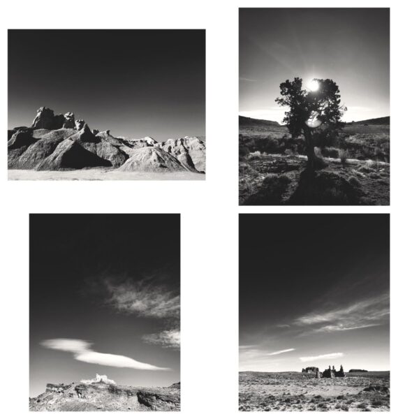 Quiet in the Desert Pt 2 - Print Set