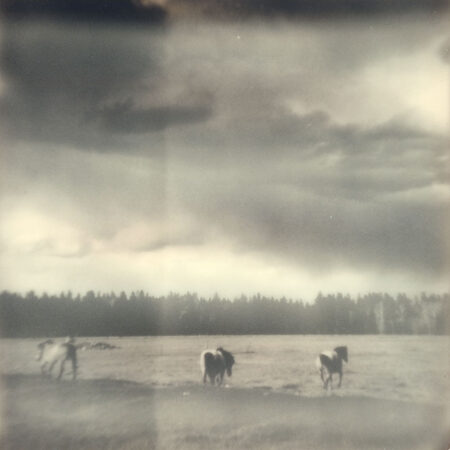 Victor - Wild Horses