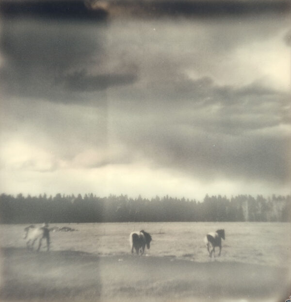 Victor - Wild Horses