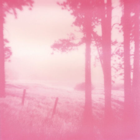 Weeksville - Original Polaroid