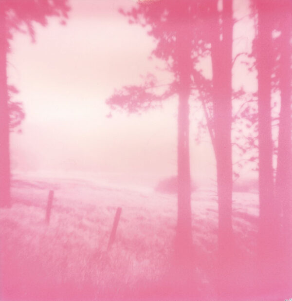 Weeksville - Original Polaroid