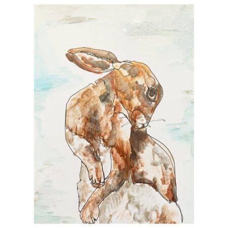Hare Line Drawing
