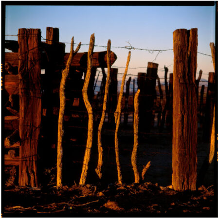 Desert Corral - Framed