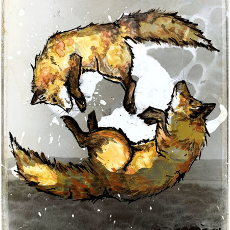 Two Foxes