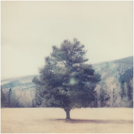 Conner - Ltd. Ed. Print