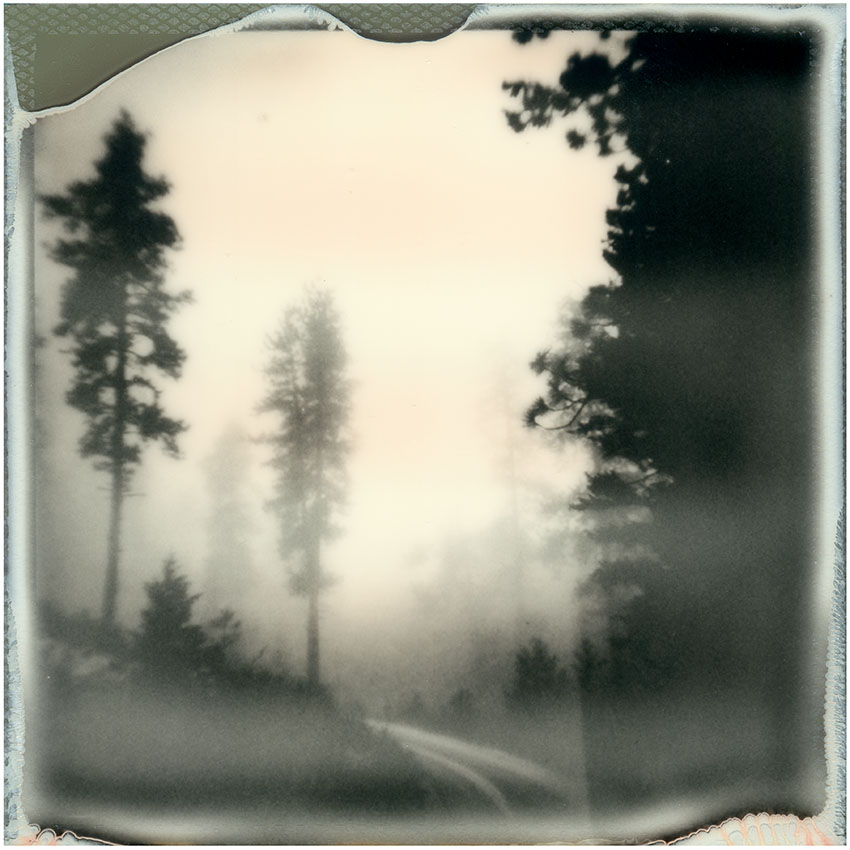 Lolo National Forest - Ltd. Ed. Print