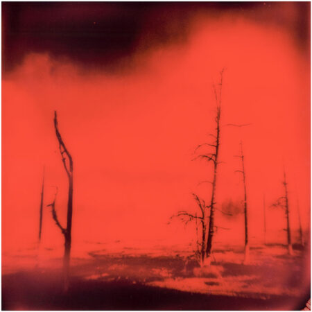 Yellowstone - Ltd. Ed. Print