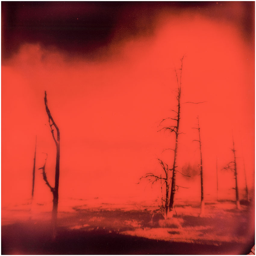 Yellowstone - Ltd. Ed. Print