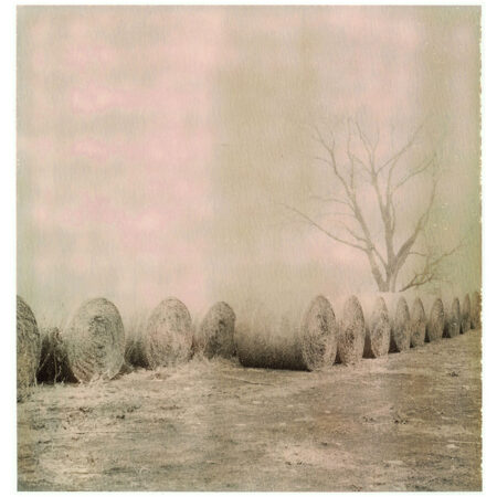 Americus - Ltd. Ed. Print