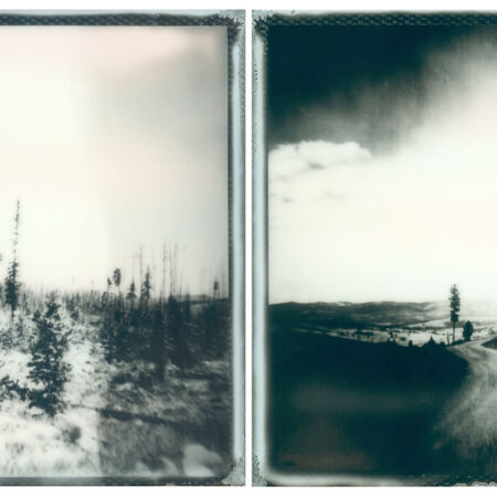 Montana Trees Diptych