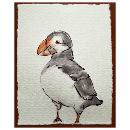 Puffin