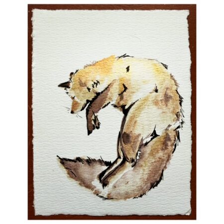 Fox