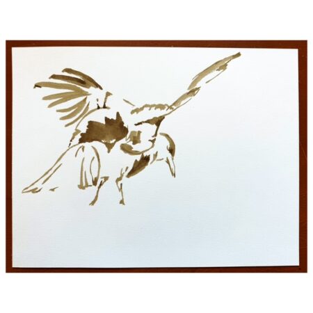 Magpie Walnut Ink Study