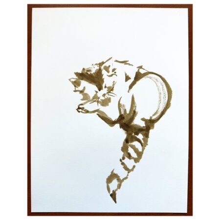 Red Panda Walnut Ink Study