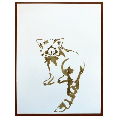 Red Panda Walnut Ink Study