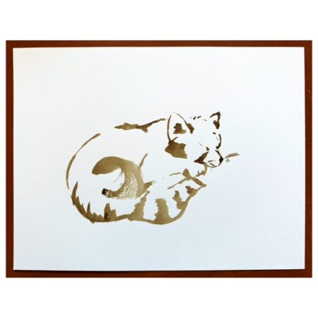 Red Panda Walnut Ink Study