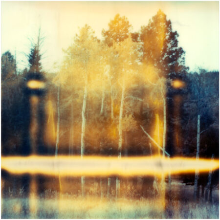 Aspens - Ltd. Ed. Print