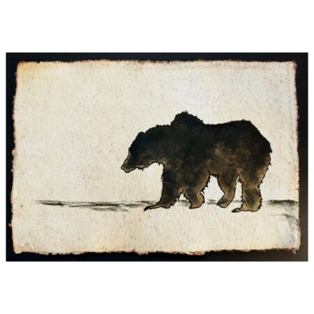 Grizzly Bear