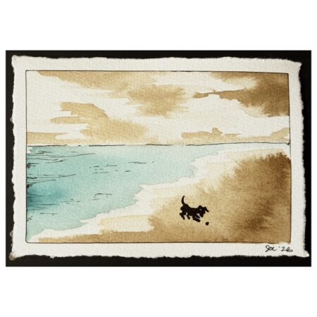 Beach Dog