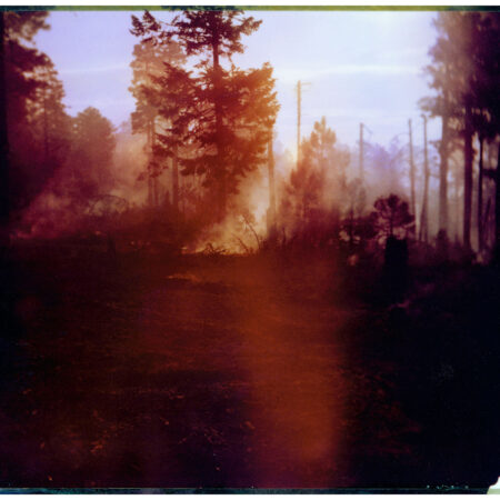 Fire on the Mogollon Rim