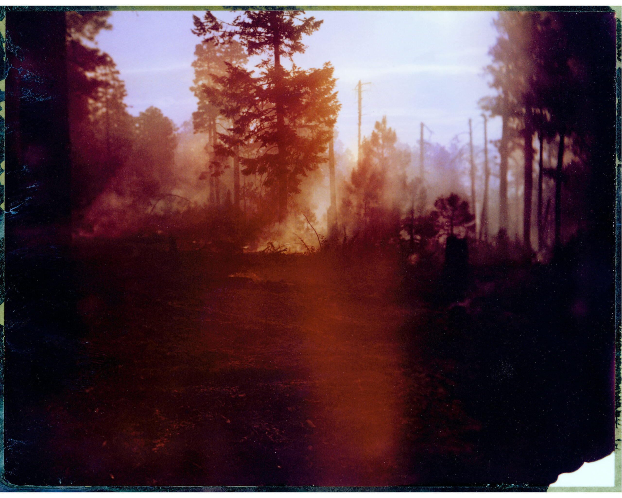 Fire on the Mogollon Rim
